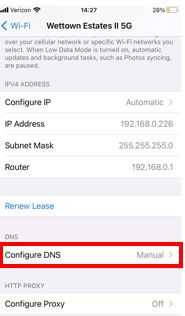 iPhone DNS Settings